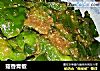 菇香青椒的做法