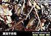 蕨菜干炒肉的做法