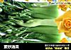 素炒油菜的做法