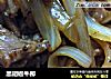 黑胡椒牛柳的做法