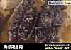 海参炖瘦肉的做法