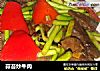 蒜苔炒牛肉的做法