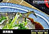 清蒸鲳鱼的做法