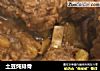 土豆炖排骨的做法