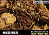 虫草花炖草鸡的做法