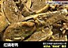 红烧老鸭的做法