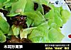 木耳炒莴笋的做法