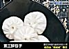 素三鲜包子的做法