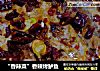 “香辣菜”香辣烤鲈鱼的做法