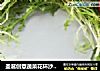 圣诞创意蔬菜花环沙拉??低脂低卡健康100的做法