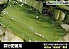 蒜炒甜麦菜的做法