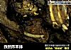 孜然炸羊排的做法