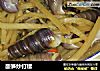 酸笋炒钉螺的做法