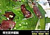 荷兰豆炒腊肠的做法