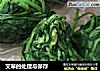 艾草的处理与保存的做法