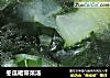 冬瓜裙带菜汤的做法