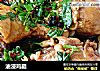 油浸鸡腿的做法