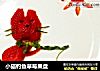小猫钓鱼草莓果盘的做法