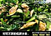 好吃不胖的低碳水食谱～韭菜炒花蛤肉的做法