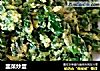 韭菜炒蛋的做法