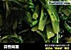 蒜香茼蒿的做法
