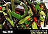 大蒜炒蕨的做法