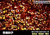 香椿辣子的做法