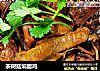 茶树菇焖腊鸡的做法