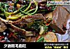 少油版毛血旺的做法