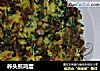 荞头煎鸡蛋的做法
