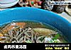 卤肉荞麦汤面的做法