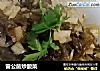 雷公菌炒酸菜的做法