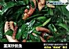 韭菜炒鱿鱼的做法