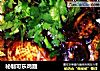 秘制可乐鸡翅的做法