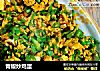 青椒炒鸡蛋的做法