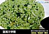 菠菜汁炒饭的做法
