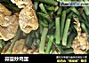 蒜薹炒鸡蛋的做法