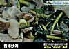 香椿炒肉的做法