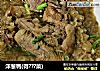洋葱鸭(得???菜)的做法