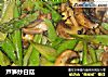 芦笋炒白菇的做法