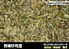 香椿炒鸡蛋的做法