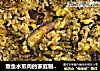 章鱼水煎肉的家庭制作方法的做法