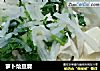 萝卜烩豆腐的做法