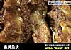 金黄鱼块的做法