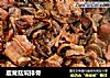 鹿茸菇焖排骨的做法