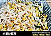 小葱炒豆芽的做法