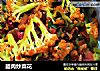 腊肉炒菜花的做法