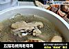 五指毛桃炖老母鸡的做法