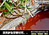 清蒸鲈鱼想要好吃，细节很重要，加入这位料让它更加与众不同的做法