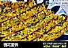 槐花蛋饼的做法